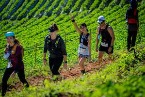 BIB: 1000, 
                            <button type="button" onclick="openModal(19161829)" class="btn btn-primary btn-sm float-right btn-popup" data-toggle="modal" data-target=".modal-high-quality">
                        <i class="fas fa-shopping-cart"></i> Add to Cart
                    </button>
                                            <button type="button" onclick="isThisMe(19161829, true)" class="btn btn-success btn-sm float-right btn-popup btn-isme hidden" data-toggle="tooltip" data-placement="bottom" title="นี่คือรูปของคุณใช่ไหม คลิกที่นี่เพื่อเอาเข้าอัลบั้ม">
                        <i class="fas fa-plus"></i> Add to album
                    </button>
                    <button type="button" onclick="isThisMe(19161829, false)" class="btn btn-warning btn-sm float-right btn-popup btn-isnotme hidden">
                        <i class="fas fa-ban"></i> Remove from album
                    </button>